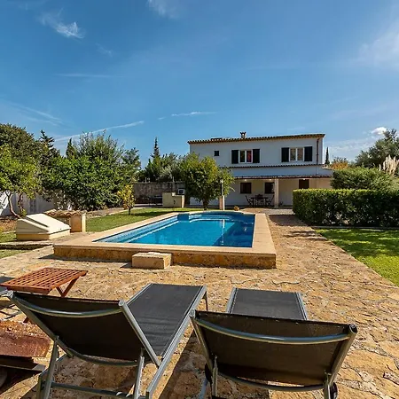 Palmeras 4 Personas Cerca Del Pueblo De Villa Pollença