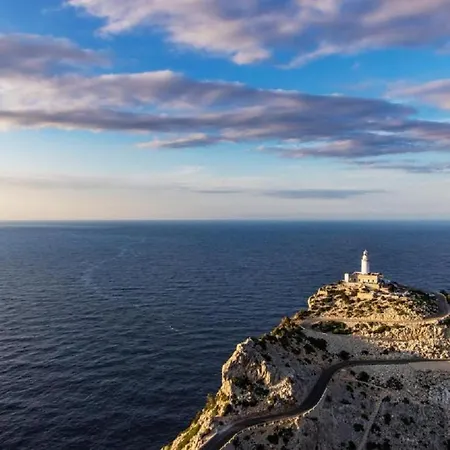 Palmeras 4 Personas Cerca Del Pueblo De Willa *