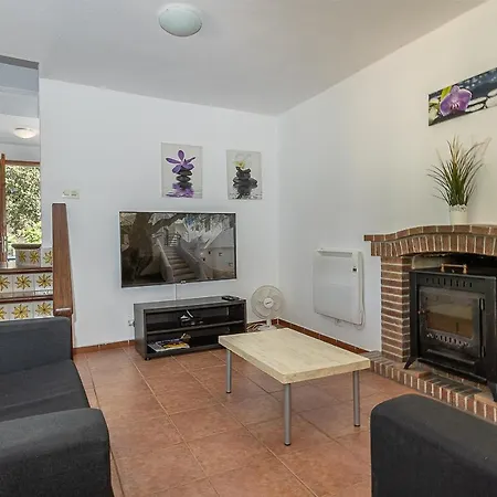 Palmeras 4 Personas Cerca Del Pueblo De * Pollensa