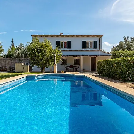 Palmeras 4 Personas Cerca Del Pueblo De