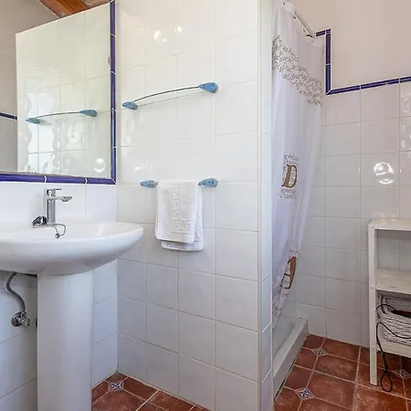 Palmeras 4 Personas Cerca Del Pueblo De * Pollensa