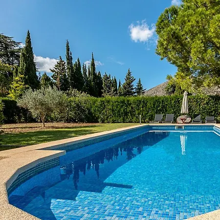 Palmeras 4 Personas Cerca Del Pueblo De