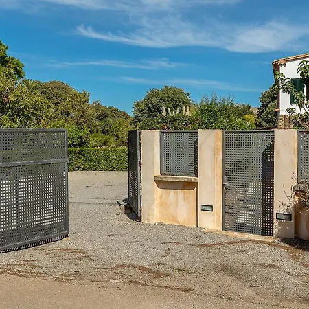 Palmeras 4 Personas Cerca Del Pueblo De Willa Pollensa