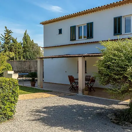 Palmeras 4 Personas Cerca Del Pueblo De Willa