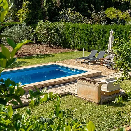 Palmeras 4 Personas Cerca Del Pueblo De * Pollensa