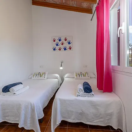 Palmeras 4 Personas Cerca Del Pueblo De Pollensa