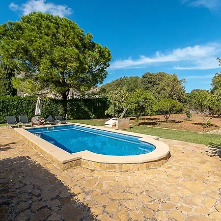 Palmeras 4 Personas Cerca Del Pueblo De Willa