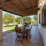 Palmeras 4 Personas Cerca Del Pueblo De *