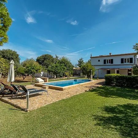 Palmeras 4 Personas Cerca Del Pueblo De Villa Pollenca