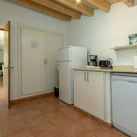 Palmeras 4 Personas Cerca Del Pueblo De Villa