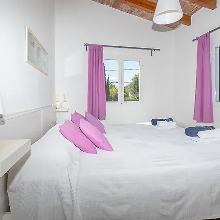 Palmeras 4 Personas Cerca Del Pueblo De ヴィラ