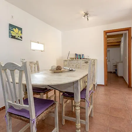 Palmeras 4 Personas Cerca Del Pueblo De Villa Pollenca