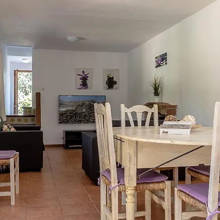 Palmeras 4 Personas Cerca Del Pueblo De Villa Pollenca
