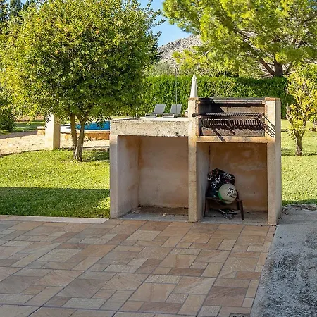 Palmeras 4 Personas Cerca Del Pueblo De Villa Pollenca