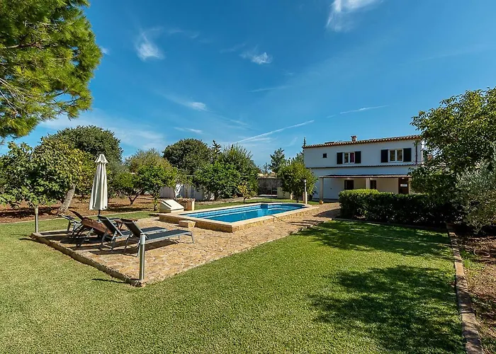 Palmeras 4 Personas Cerca Del Pueblo De Villa Pollenca