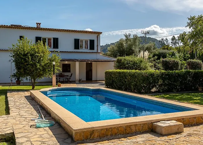 Palmeras 4 Personas Cerca Del Pueblo De *