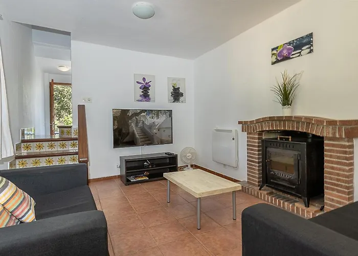 Palmeras 4 Personas Cerca Del Pueblo De * ポレンサ