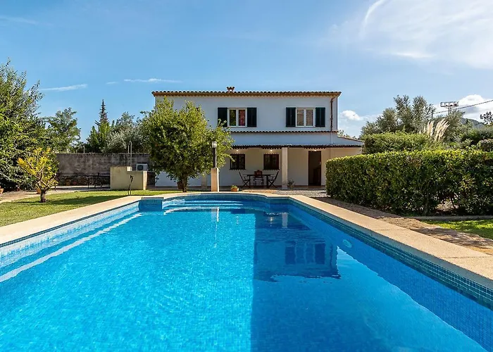 Palmeras 4 Personas Cerca Del Pueblo De