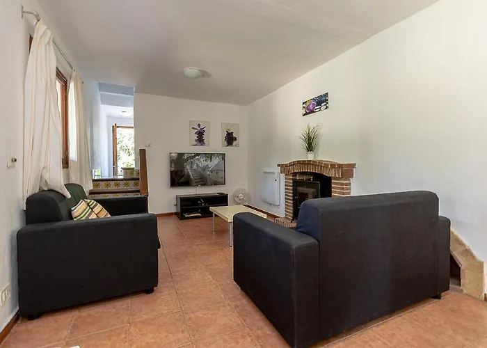 Palmeras 4 Personas Cerca Del Pueblo De