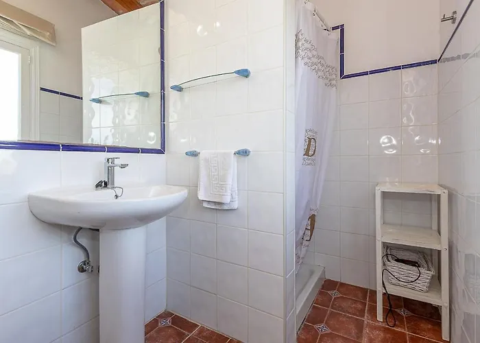 Palmeras 4 Personas Cerca Del Pueblo De * Pollenca