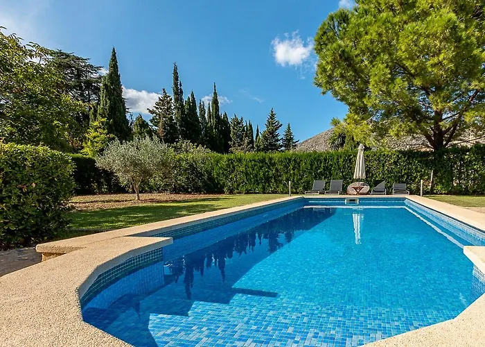 Palmeras 4 Personas Cerca Del Pueblo De