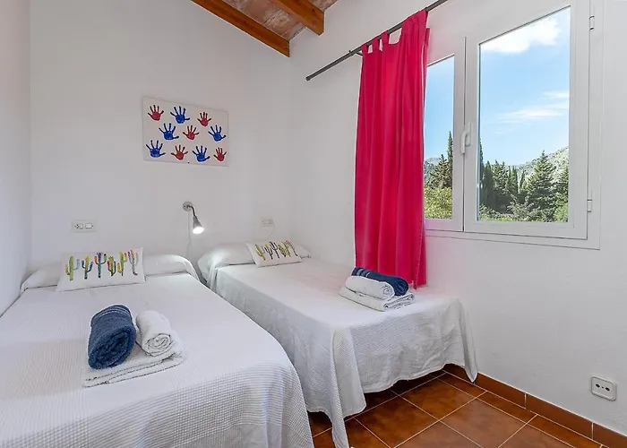 Palmeras 4 Personas Cerca Del Pueblo De Pollenca