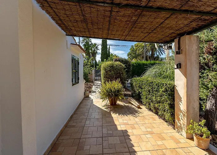 Palmeras 4 Personas Cerca Del Pueblo De * Pollenca