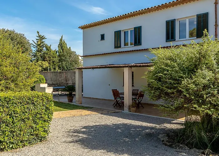 Palmeras 4 Personas Cerca Del Pueblo De Villa