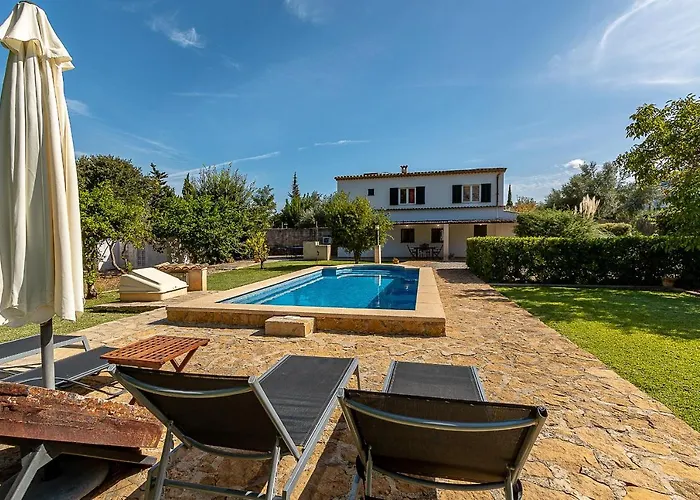 Palmeras 4 Personas Cerca Del Pueblo De Villa Pollenca