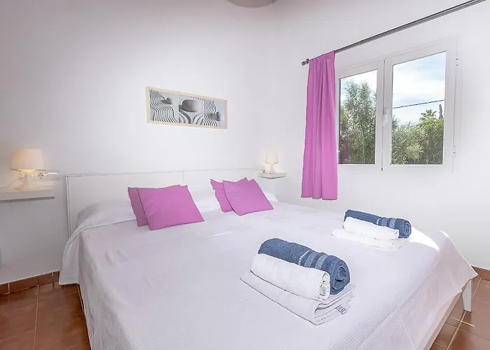 Palmeras 4 Personas Cerca Del Pueblo De * Pollenca