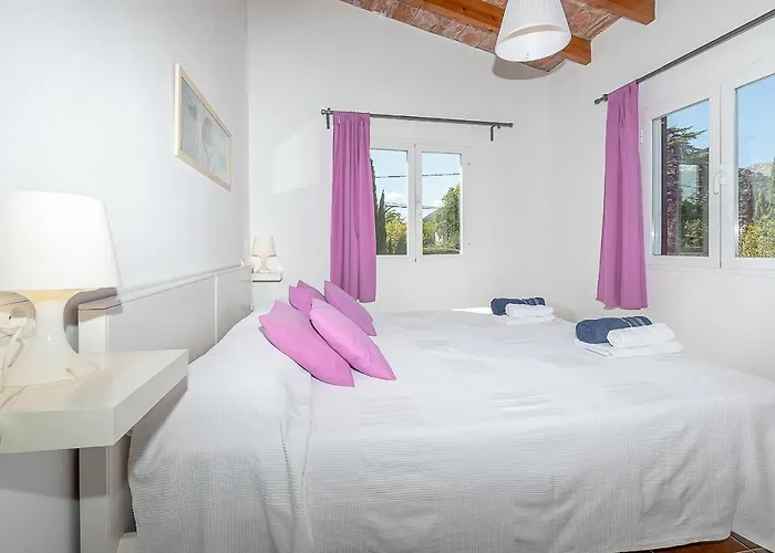 Palmeras 4 Personas Cerca Del Pueblo De ヴィラ