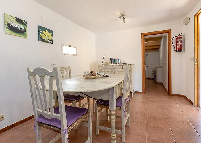 Palmeras 4 Personas Cerca Del Pueblo De Villa Pollenca