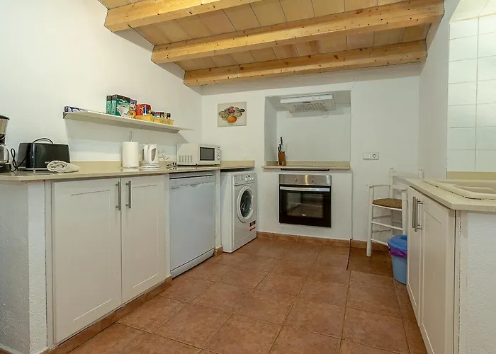 Palmeras 4 Personas Cerca Del Pueblo De Villa Pollenca