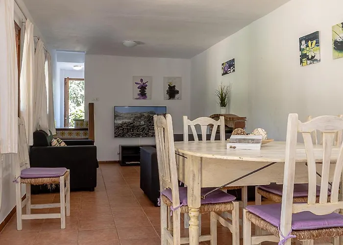 Palmeras 4 Personas Cerca Del Pueblo De Villa Pollenca