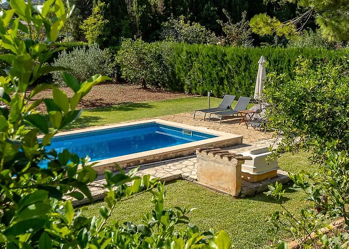 Palmeras 4 Personas Cerca Del Pueblo De * Pollenca