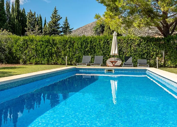 Palmeras 4 Personas Cerca Del Pueblo De