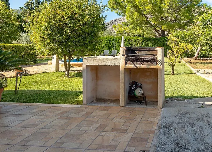 Palmeras 4 Personas Cerca Del Pueblo De Villa Pollenca