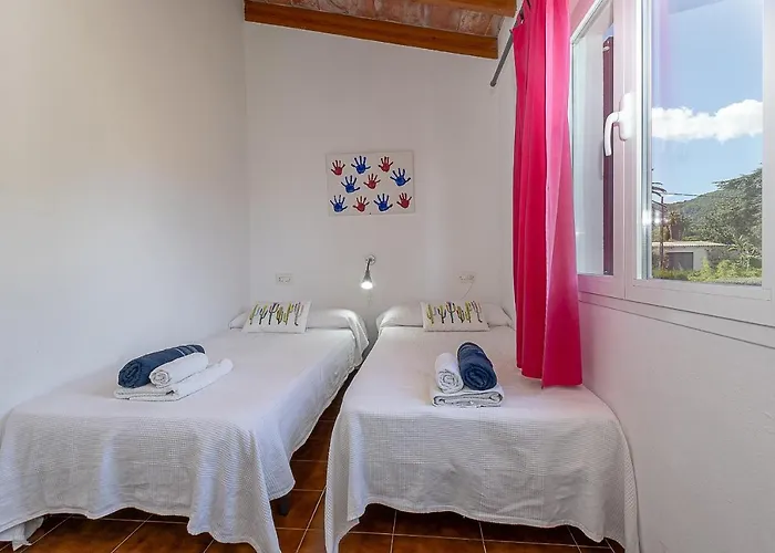 Palmeras 4 Personas Cerca Del Pueblo De Pollenca