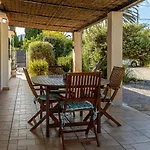 Palmeras 4 Personas Cerca Del Pueblo De Villa