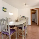 Palmeras 4 Personas Cerca Del Pueblo De Villa Pollensa