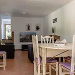 Palmeras 4 Personas Cerca Del Pueblo De Villa Pollensa